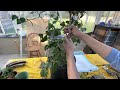 Can you bonsai a camellia? -  Bonsai Technique - Baikoen Bonsai Club