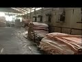 Proses pembuatan plywood export part 7 | Pengeringan veneer plywood export dengan mesin yang canggih