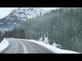 Drive thru Lamar Valley , Cooke City to Cody WY. 11/4/2023