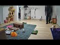 【2348日目】ちょろたんレッドで遊ぶにゃ～な猫【かわいい・面白い】～The growth record of my cute cat, Nike day 2348