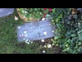 Joe and Rose Kennedy Gravesite