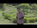 【風景写真】僕なりの紫陽花の撮り方！紫陽花の撮影|紫陽花 写真| Landscape photography Vlog