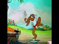 The Hare and The Tortoise Funny Cartoon Video