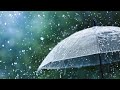 Gentle Rain Sounds on an Umbrella | Soothing White Noise for Sleep, Study, and Relaxation |