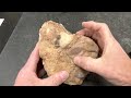 Rock Identification with Willsey: Conglomerate, Breccia, and Diamictite