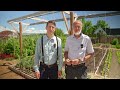 Eliminate Blossom End Rot On Tomatoes! World Record Tomato Grower Explains It All! Tips, Myths