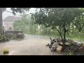 Super Heavy Rain in Little Village | Rain Sounds for Sleep | ASMR