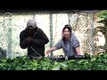 [ISIGQI Live] BB b2b Suffocate SA (recorded in Johannesburg, SA)