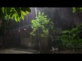 The sound of rain in the middle of the night after a busy day - White noise ASMR recommended