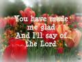 Hillsong - Made Me Glad (You Are My Shield)