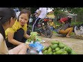 Harvesting Purple Mango Goes To The Market Sell - Live With Nature - Cook Bran For Pigs