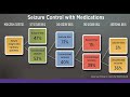 Medical Therapy in Epilepsy: Treatment, Side Effects, and Drug Interactions