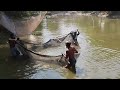 Fishing method with Katara in Gramganj -  net fishing in village pond