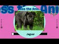 Guess the Animal Quiz | 100 Animals in 5 Secs #quiz #animalquiz #quizchallenge #animals #quizgames