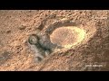 Mars perseverance Rover Captured a New And Latest video Video Footage of Mars Surface || Mars in 4k