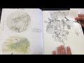 Show and tell - Chinese painting books - Gongbi style ASMR