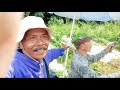 mancing jatiluhur terbaru spot air terjun paling indah mancing di istana ikan putih