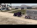 Peterbilt 389 - (Heavy Livestock Hauling) - American Truck Simulator