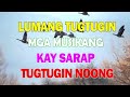 Mga Kantang Tagos Sa Puso Tagalog Love Song Nonstop 💕 Pampatulog Pamatay Puso 💕 60s 70s 80s