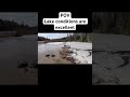 Mini Jet Boat Breaking Through Frozen Lake #boat