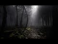 Misty Forest Night With Rain And Thunder | Rain & Thunder Sounds | 8 Hrs | Rain sounds for sleeping