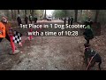 1 Dog Scooter at the 2023 Annual Freetown Frolic Dryland Race