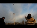Trick Kite Flying