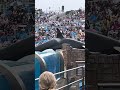 Orcas friendly power moves🏖️🏖️🏝️🏝️🏝️🏝️
