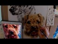 Watercolour portrait process dogs Oscar and Belle