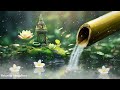 🎵Relaxing music Relieves stress, Anxiety and Depression🌿Heals the Mind, body and Soul - Deep Sleep♬