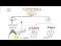 Cushing Syndrome Diagnostic Workup