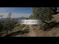 DJI AIR 2S - Autumn vibes in Val D'orcia Tuscany - CINEMATIC 4K