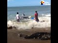 People Rescue Giant Manta Ray From Fishing Net  | The Dodo