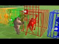 Learn Colors With Wild Animals Toys For Kids | Learn Colors With Wild Zoo Animals for children