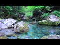 The sound of a clear blue and clear river, the chirping of birds [study, sleep, relaxation, ASMR]