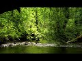 RELAXING NATURE SOUNDS, BIRDSONG AND BUBBLING STREAM FOR STRESS RELIEF, SLEEP, MEDITATION