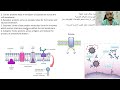 فسيولوجي المحاضرة الثانية الخلية - Physiology The Cell