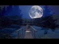 Relaxing Sleep Music and Night   Under The Full Moon Beautiful Piano  Deep Sleep Music