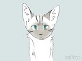 Floppy ears meme [warrior cat Oc]