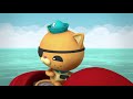 #StayHome Octonauts - Gobblefish! | Compilation | Cartoons for Kids