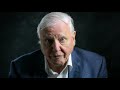 A Life on Our Planet   David Attenborough