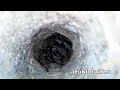 Funnel Web Style Spider Infestation Found 200 Deadly Spider Nests EDUCATIONAL VIDEO