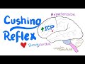 Cushing Reflex - Cushing Triad - Intracranial Hypertension - Emergency Medicine and EMS/ EMT