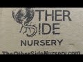 Unboxing from The Otherside Nursery