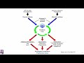 Session 7: Antiphospholipid Antibodies: Is APS a Complement-Mediated Autoimmune Disorder?