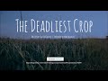 Wilhelm Presents, Scary Moments: The Deadliest Crop written by Calista Carine