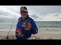 Dunes, Sand, Beach and Fish