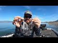 The Best Chatterbait and Spinnerbait Tricks You've Never Tried!
