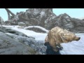 The Rift - Skyrim - Curating Curious Curiosities