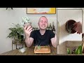 How To Care For Air Plants | Houseplant Tips & Tricks Ep. 25